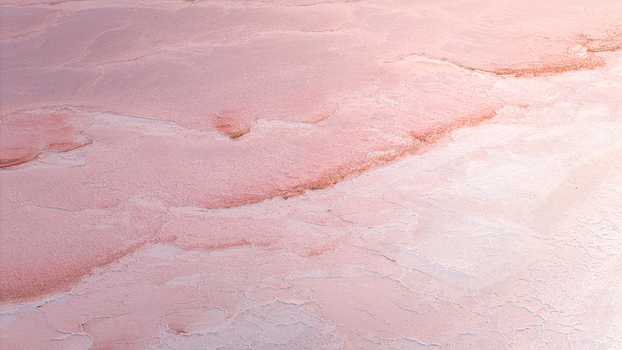 Aerial view of cracked pink salt crust and pale mineral layers forming an intricate organic pattern in France. Aerial view of cracked pink salt crust and pale mineral layers forming an intricate organic pattern in France.