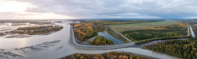 Aerial view of the Moose Creek river landscape with braided channels autumn foliage in the boreal forest and a protective levee Moose Creek Alaska United States.