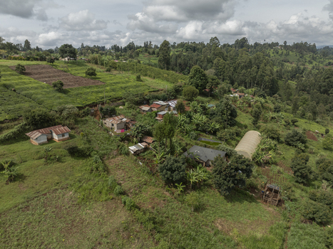 Aerial view of homes nestled amidst rolling green hills a patchwork of cultivated fields and dense woodland under a vast textured sky Nyeri Nyeri Kenya. Aerial view of homes nestled amidst rolling green hills a patchwork of cultivated fields and dense woodland under a vast textured sky Nyeri Nyeri Kenya.