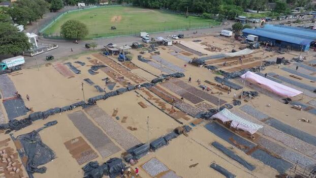 Aerial view of fish drying in the sun in Colombo Sri Lanka.