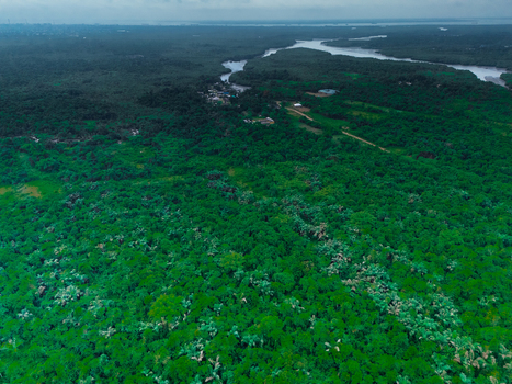 Aerial view of the lush mangrove forests and winding waterways of Bonny Island in Bonny Town Rivers Nigeria. Aerial view of the lush mangrove forests and winding waterways of Bonny Island in Bonny Town Rivers Nigeria.