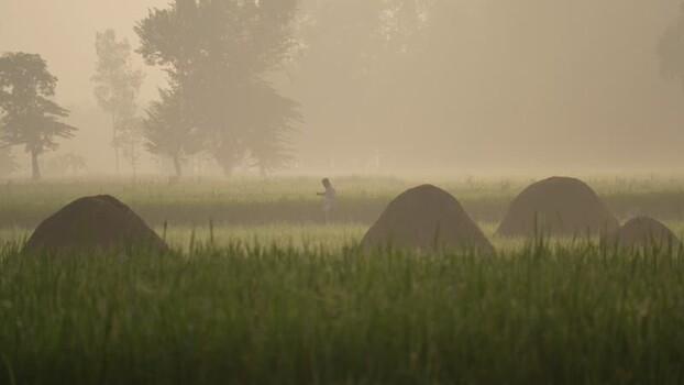 View of a person walking in misty fields in Bogura Bangladesh. View of a person walking in misty fields in Bogura Bangladesh.