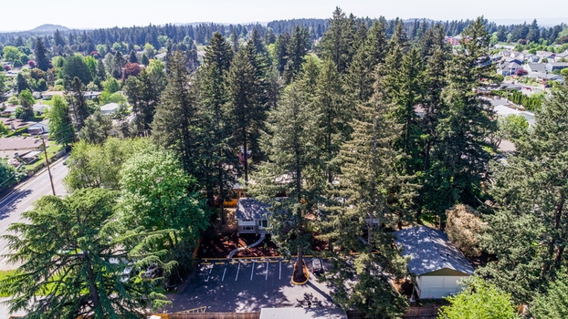 Aerial view of Northeast Glisan Street surrounded by tall evergreen trees and residential houses in Portland Oregon United States. Aerial view of Northeast Glisan Street surrounded by tall evergreen trees and residential houses in Portland Oregon United States.