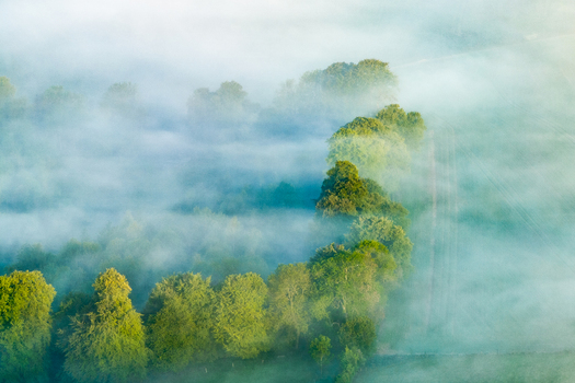 Aerial view of lush green trees emerging from a thick blanket of morning mist over the rural landscape in Nuffield Oxfordshire United Kingdom. Aerial view of lush green trees emerging from a thick blanket of morning mist over the rural landscape in Nuffield Oxfordshire United Kingdom.