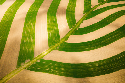 Aerial view of striped agricultural fields with alternating green crops and brown soil patterns in Brno South Moravian Region Czechia.