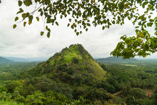 View of the Dambulu Rock Inscription hill surrounded by dense tropical forest and lush greenery under a cloudy sky Dambulla Central Province Sri Lanka.