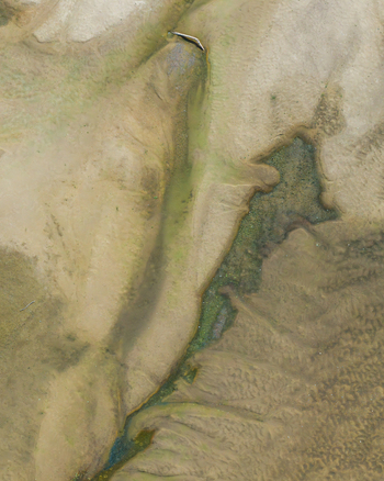 Aerial view of sandy banks and shallow water channels at Zawadowskie Islands Nature Reserve showing intricate sediment patterns and riverine textures in Kutno Masovian Voivodeship Poland. Aerial view of sandy banks and shallow water channels at Zawadowskie Islands Nature Reserve showing intricate sediment patterns and riverine textures in Kutno Masovian Voivodeship Poland.