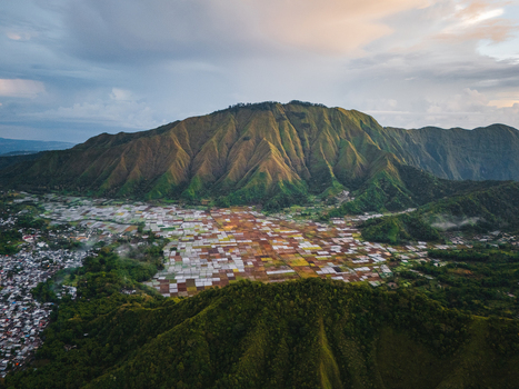 Aerial view of the Sembalun agricultural basin at the foothills of Mount Rinjani with patchwork fields and lush slopes under a cloudy sky in Sembalun West Nusa Tenggara Indonesia. Aerial view of the Sembalun agricultural basin at the foothills of Mount Rinjani with patchwork fields and lush slopes under a cloudy sky in Sembalun West Nusa Tenggara Indonesia.