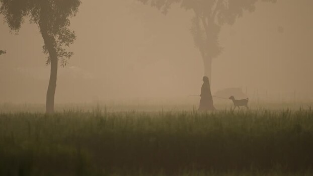 View of a woman walking with a goat in a misty field Bangladesh.