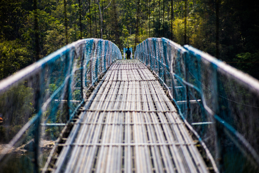 Meghalaya India 31 March 2023 View of a suspension bridge with metal mesh railings and a person walking in the distance surrounded by lush forest. Meghalaya India 31 March 2023 View of a suspension bridge with metal mesh railings and a person walking in the distance surrounded by lush forest.