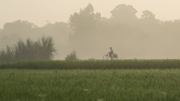 View of a cyclist riding through misty fields in Bogura Bangladesh.
