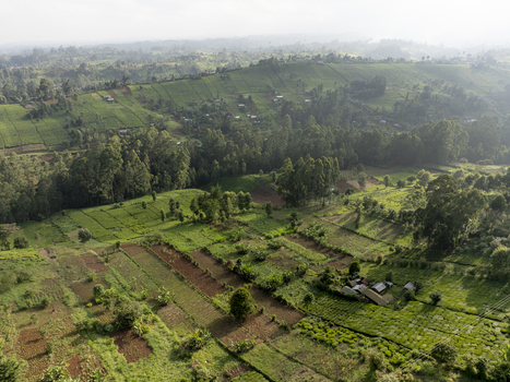 Aerial view of verdant farmlands meet dense forests under the soft diffused light creating a tapestry of rural life Nyeri Nyeri Kenya. Aerial view of verdant farmlands meet dense forests under the soft diffused light creating a tapestry of rural life Nyeri Nyeri Kenya.