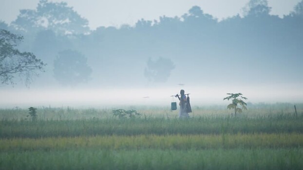 View of a farmer walking in a misty field in Bogura Bangladesh.
