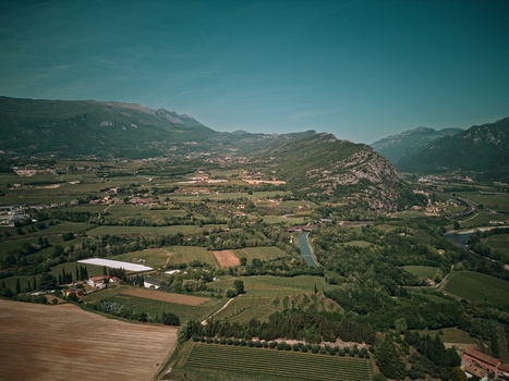 Aerial view of the lush vineyards and rolling hills of the Lake Garda region with majestic mountains under a clear blue sky in Italy.