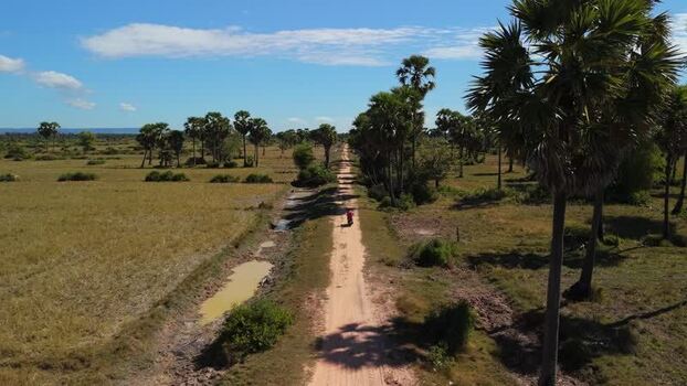 Aerial view of a dirt road in rural Cambodia. Aerial view of a dirt road in rural Cambodia.