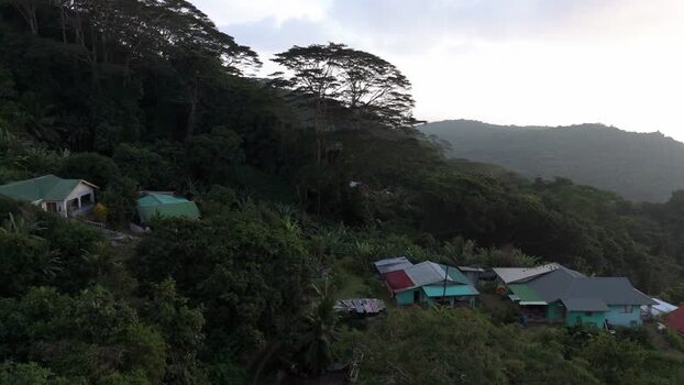 Aerial view of houses in tropical vegetation Seychelles.