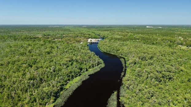 Aerial view of Sixmile Creek winding through dense green forest under a clear blue sky in St. Johns County Florida United States.