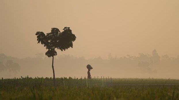 View of a person walking through a misty field in Bangladesh. View of a person walking through a misty field in Bangladesh.