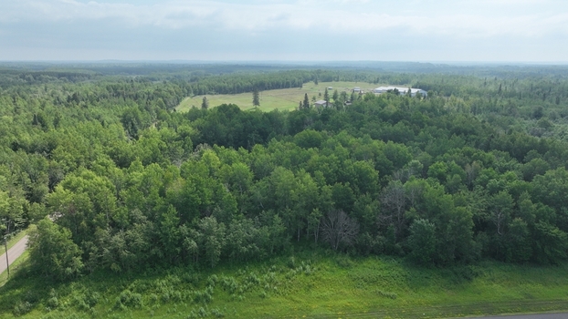 Aerial view of lush green forest cascading into a vibrant field a tranquil scene of natural beauty Ontario Canada.