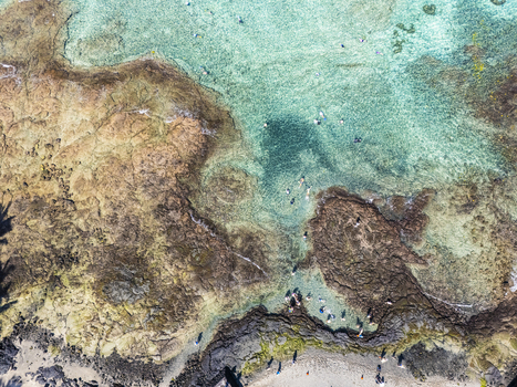 Aerial view of Kahalu u Beach Park with people swimming and snorkeling in turquoise water surrounded by volcanic rock formations in Kailua Kona Hawaii United States. Aerial view of Kahalu u Beach Park with people swimming and snorkeling in turquoise water surrounded by volcanic rock formations in Kailua Kona Hawaii United States.