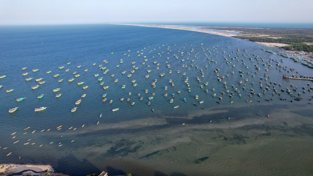 Aerial view of a vast fleet of traditional fishing boats anchored in the calm blue waters of the Arabian Sea near the coastline Thiruvananthapuram Kerala India.