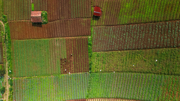 Aerial view of farmers working in agricultural fields with rectangular crop plots and small huts in Sukabumi West Java Indonesia. Aerial view of farmers working in agricultural fields with rectangular crop plots and small huts in Sukabumi West Java Indonesia.