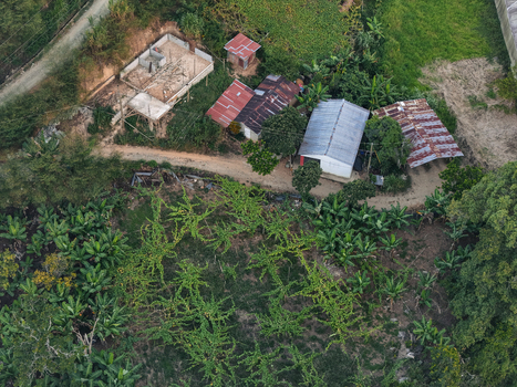 Aerial view of rural houses with metal roofs and a construction site surrounded by lush banana plantations and greenery in Jarabacoa La Vega Province Dominican Republic.