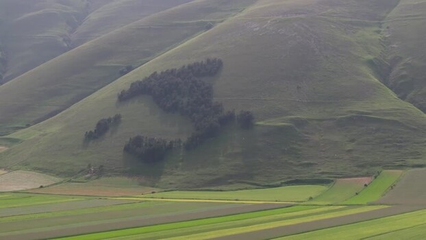 Aerial view of Italy shaped forest in Castelluccio Italy.
