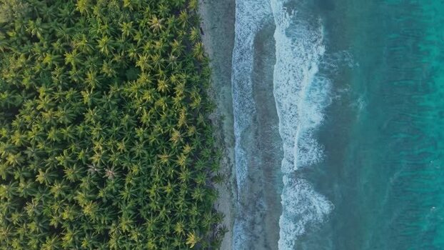 Aerial view of lush trees and sea Maldives. Aerial view of lush trees and sea Maldives.