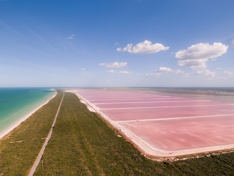 Aerial view of the vibrant pink salt evaporation ponds of Las Coloradas separated from the turquoise sea by a strip of green vegetation under a clear sky in Las Coloradas Yucatan Mexico.