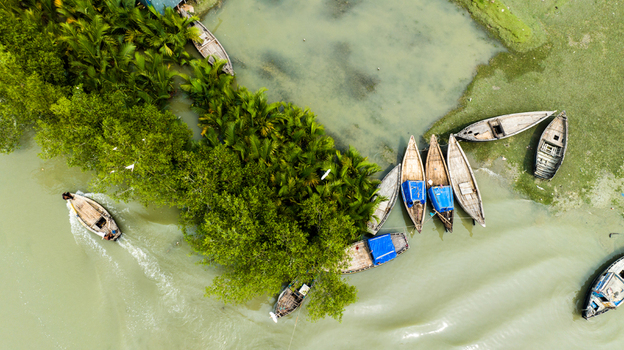 Aerial view of wooden boats moored along a lush green riverbank with palm trees in Patharghata Barisal Division Bangladesh. Aerial view of wooden boats moored along a lush green riverbank with palm trees in Patharghata Barisal Division Bangladesh.