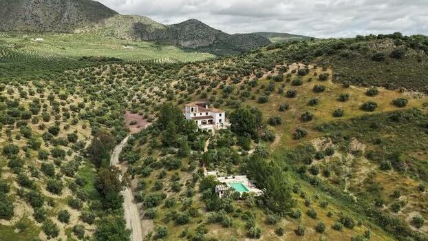 Aerial view of a villa and olive groves in El Tarajal Spain.