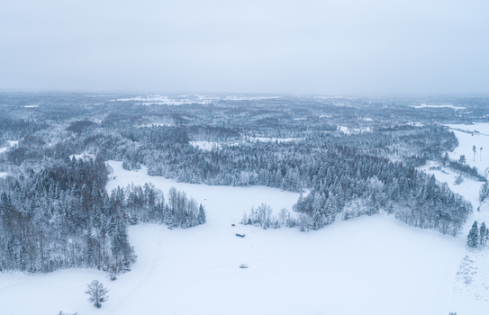 Aerial view of a vast snow covered forest and open fields under a soft overcast winter sky in Latvia. Aerial view of a vast snow covered forest and open fields under a soft overcast winter sky in Latvia.