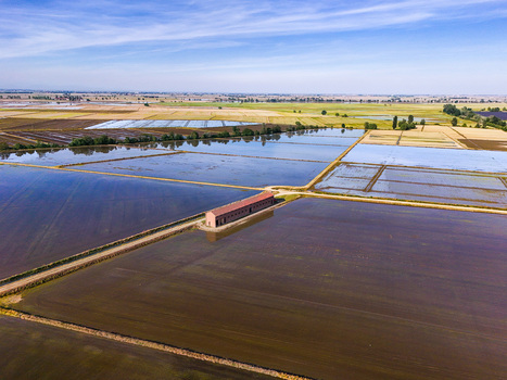 Aerial view of Tenuta Colombara surrounded by flooded rice fields and rural landscape under a blue sky in Livorno Ferraris Piemonte Italy.