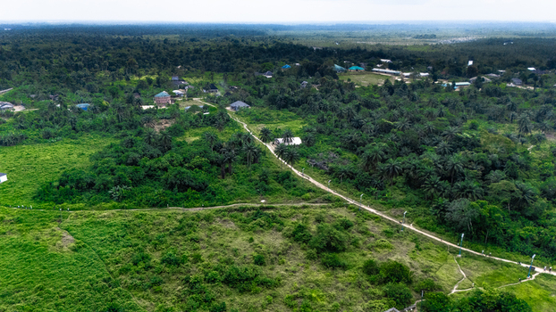 Aerial view of the rural landscape of Bukuma featuring lush green vegetation scattered houses and a dirt path winding through the trees in Buguma Rivers Nigeria.