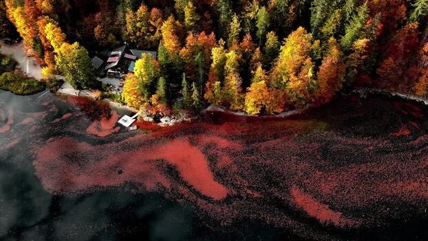 Aerial view of Attersee in autumn Austria.