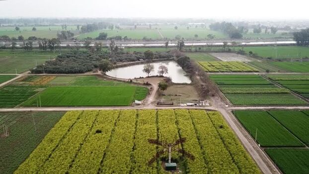 Aerial view of agricultural fields and a pond in India. Aerial view of agricultural fields and a pond in India.