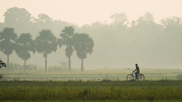 View of a man riding a bicycle through misty fields Bangladesh.