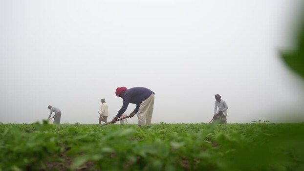 View of farmers working in a foggy field in Bangladesh. View of farmers working in a foggy field in Bangladesh.