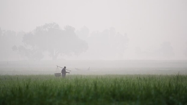 View of a worker carrying baskets in a foggy field Bangladesh.