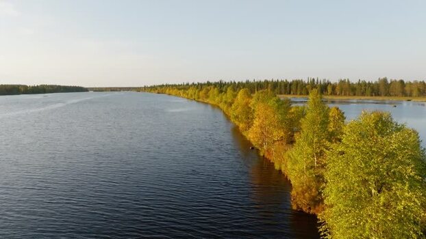Aerial view of river and autumn forest in Peurasuvanto Finland. Aerial view of river and autumn forest in Peurasuvanto Finland.