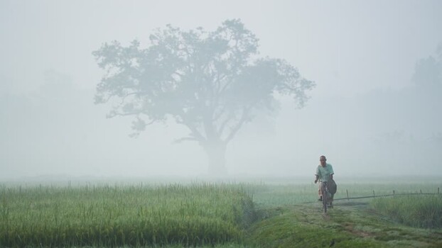 View of a man riding a bicycle through foggy fields Bangladesh.