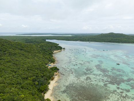 Aerial view of the vibrant turquoise sea meeting the lush green forest a serene coastal landscape Karimunjawa Jawa Tengah Indonesia.