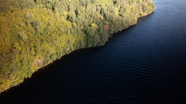 Aerial view of the lush forested shoreline of Loch Ness with dark water and dense trees in Highland Council Scotland United Kingdom.