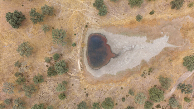 Aerial view of a small pond surrounded by dry grasslands and scattered oak trees in the rural landscape of Navalmoral de la Mata Extremadura Spain.