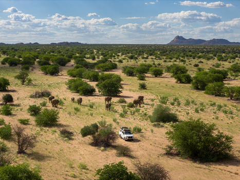 Aerial view of elephants gathering near a white vehicle amidst the arid landscape the distant mountains a stark contrast to the flat horizon Uis Erongo Region Namibia.