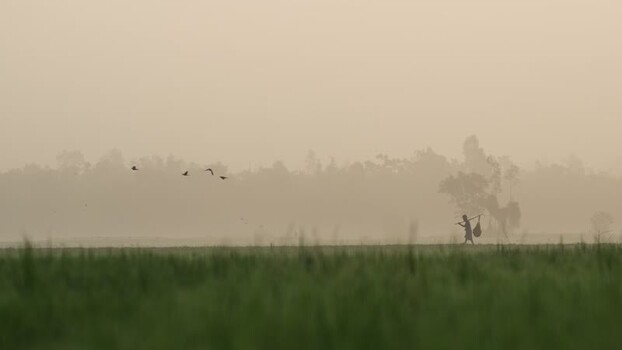 View of a person walking in a misty field Bangladesh.