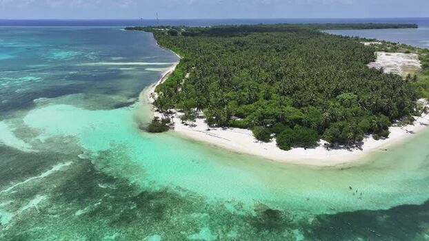 Aerial view of a tropical island with palm trees and coral reefs Maldives. Aerial view of a tropical island with palm trees and coral reefs Maldives.