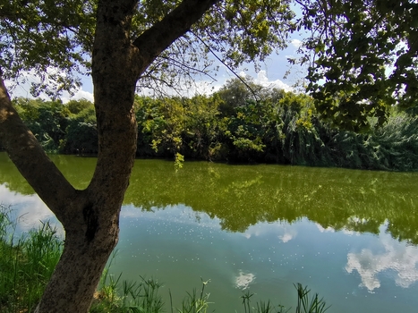 View of the calm waters of the Crocodile River reflecting the surrounding lush trees and blue sky in Hartbeespoort North West South Africa. View of the calm waters of the Crocodile River reflecting the surrounding lush trees and blue sky in Hartbeespoort North West South Africa.