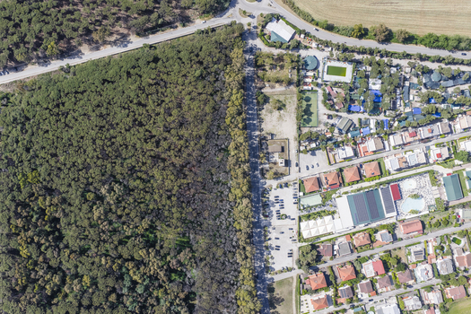 Aerial view of the sharp contrast between a dense green pine forest and a residential area with houses and swimming pools in Paestum Campania Italy.